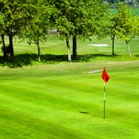 Hitting the Ball Fat